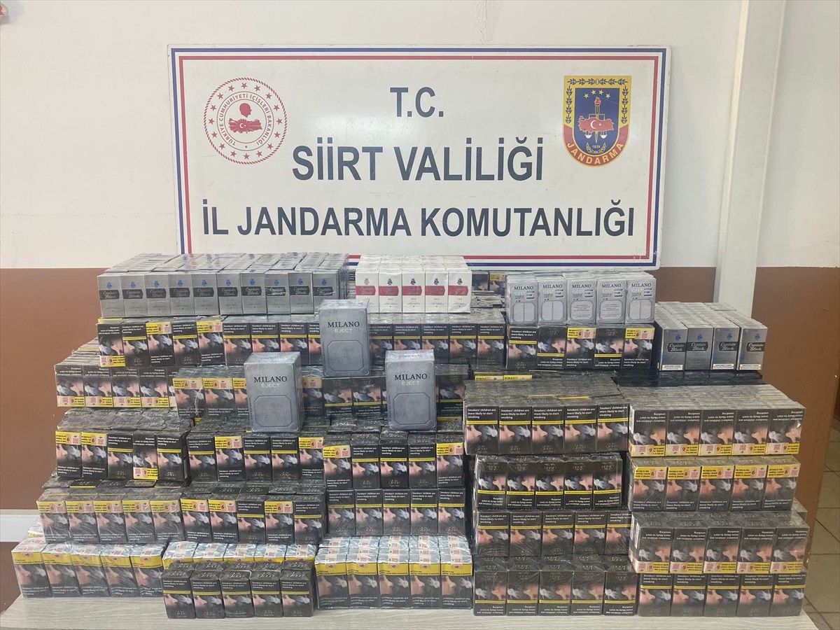 Siirt\'te 5 bin 55 paket gümrük kaçağı sigara ele geçirildi