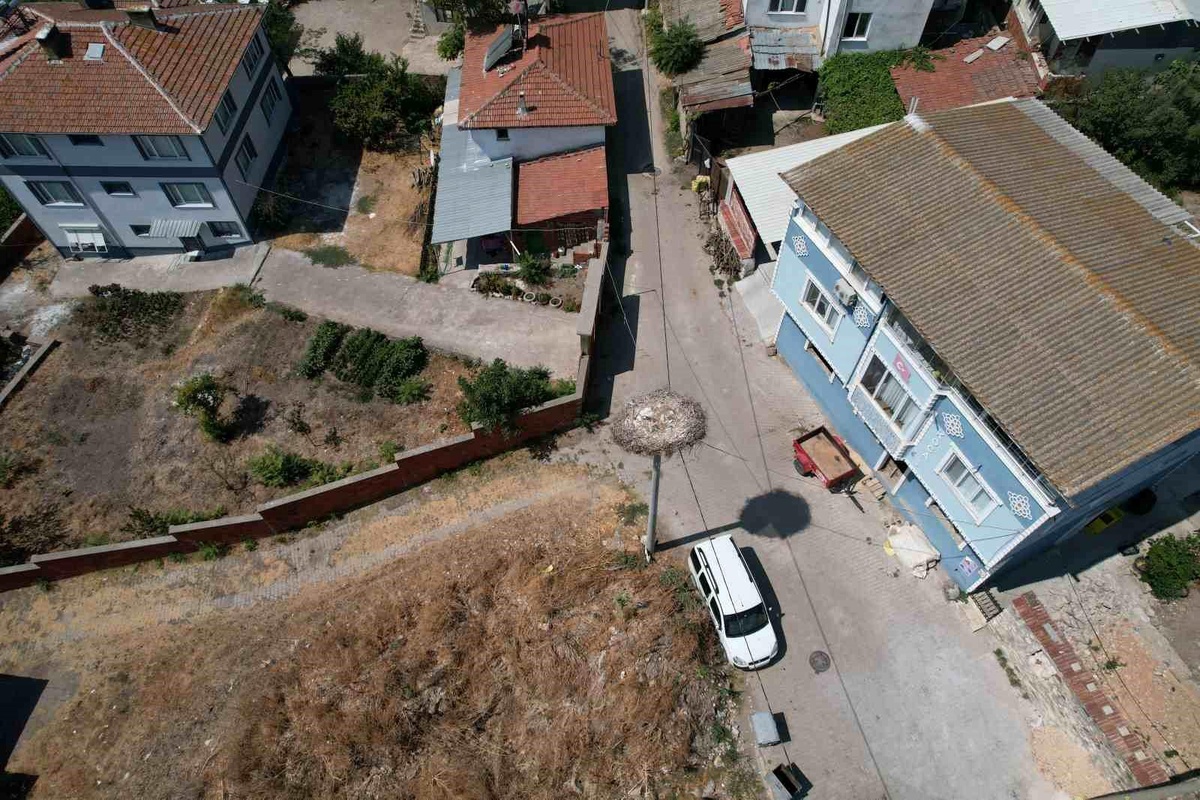 Bursa\'da Yaren leylek göç yoluna çıktı