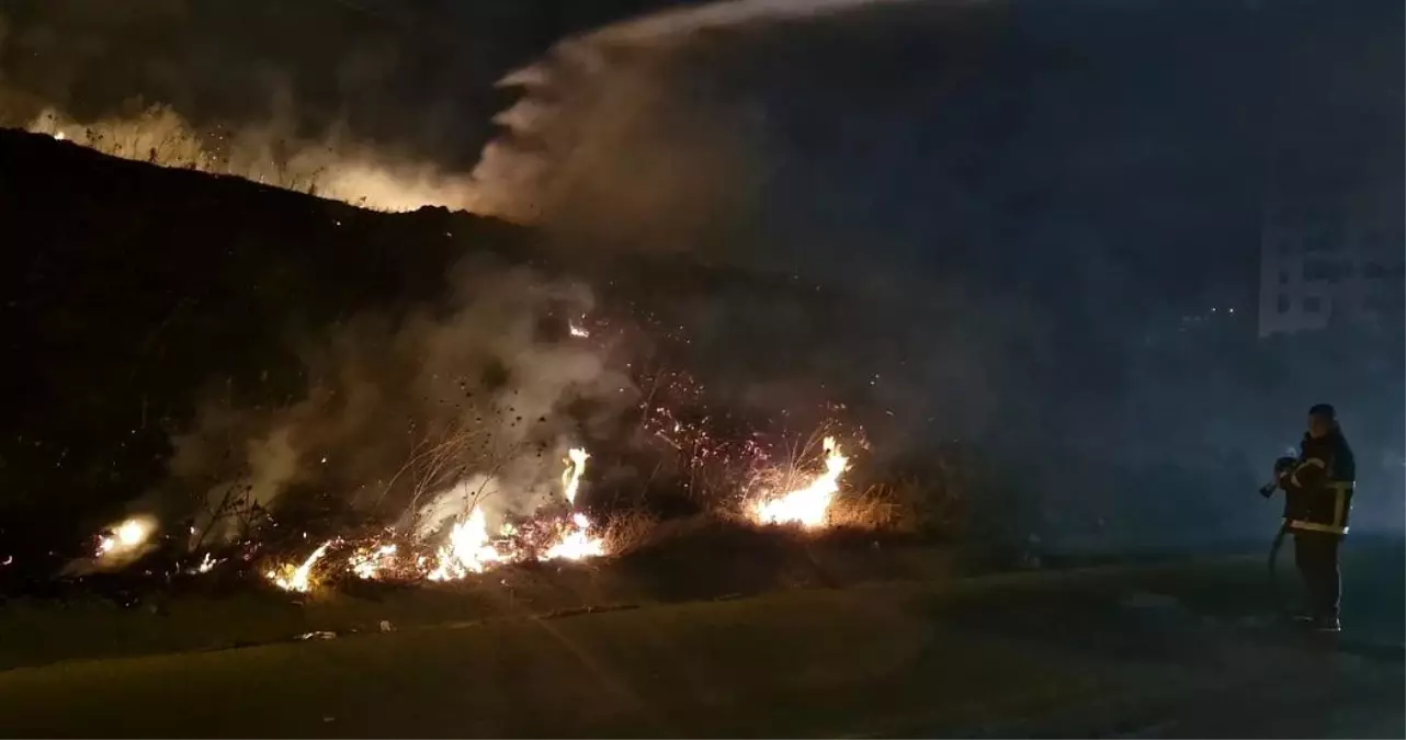 Antakya\'da bir tarlada çıkan yangın söndürüldü