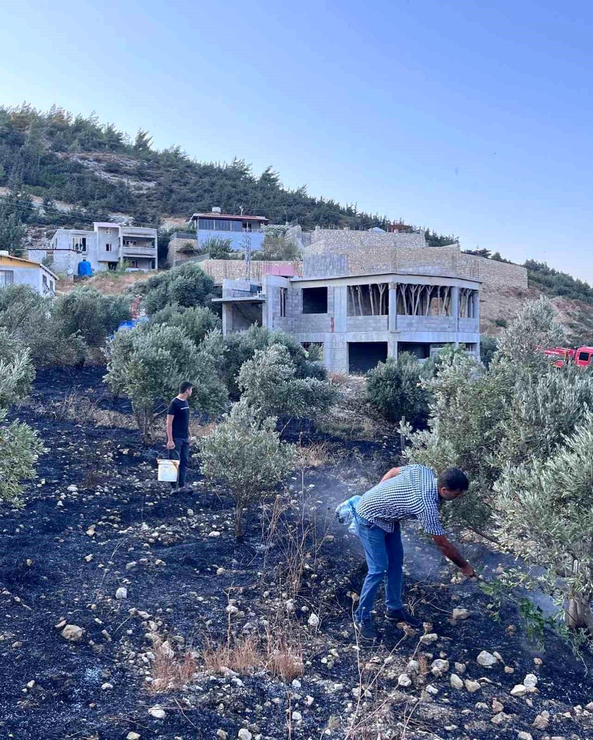 Antakya\'da Zeytinlik Alanında Çıkan Yangın İtfaiye Tarafından Söndürüldü