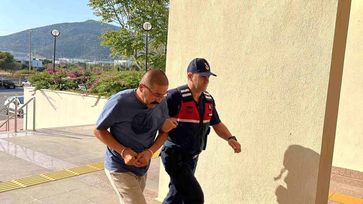 Bodrum\'da köpeğe tüfekle saldıran şüpheli serbest bırakıldı