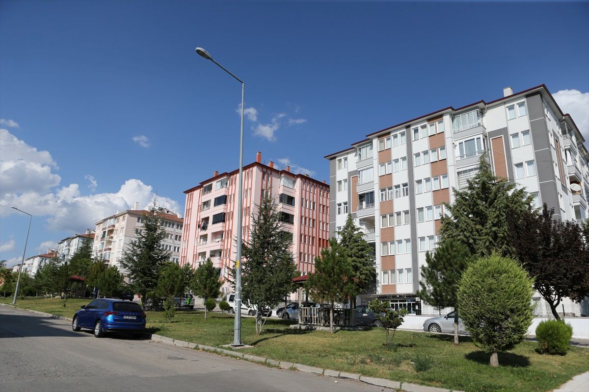 Çorum\'da Maymun Saldırısı: Genç Kız Yaralandı