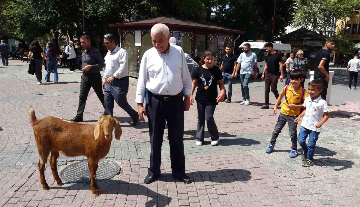 Kütahya\'da Emekli Vatandaş, Evladı Gibi Sevdiği Keçi Yavrusunu Yanından Ayırmıyor