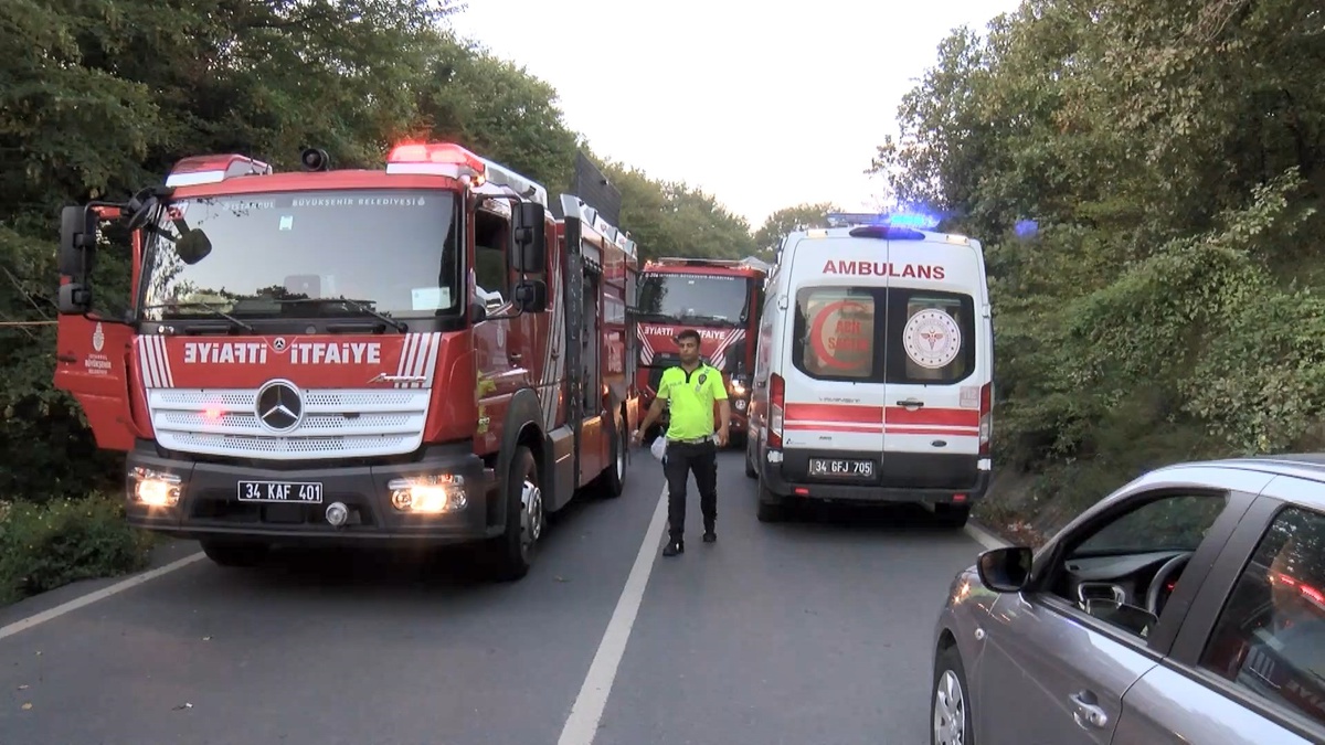 Eyüpsultan\'da Otomobil Ormanlık Alana Uçtu: 2 Kişi Yaralı