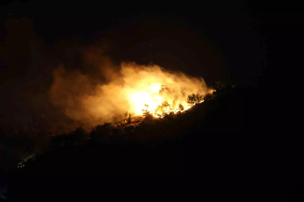 Hatay\'da çıkan orman yangınına ekiplerin karadan müdahalesi başladı