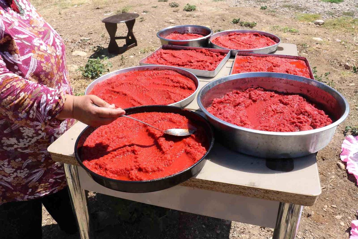 Malatya\'da Ev Hanımları Kışlık Yiyecek Hazırlıklarına Başladı