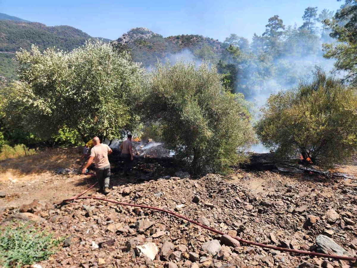 Marmaris\'te Orman Yangını Kontrol Altına Alındı