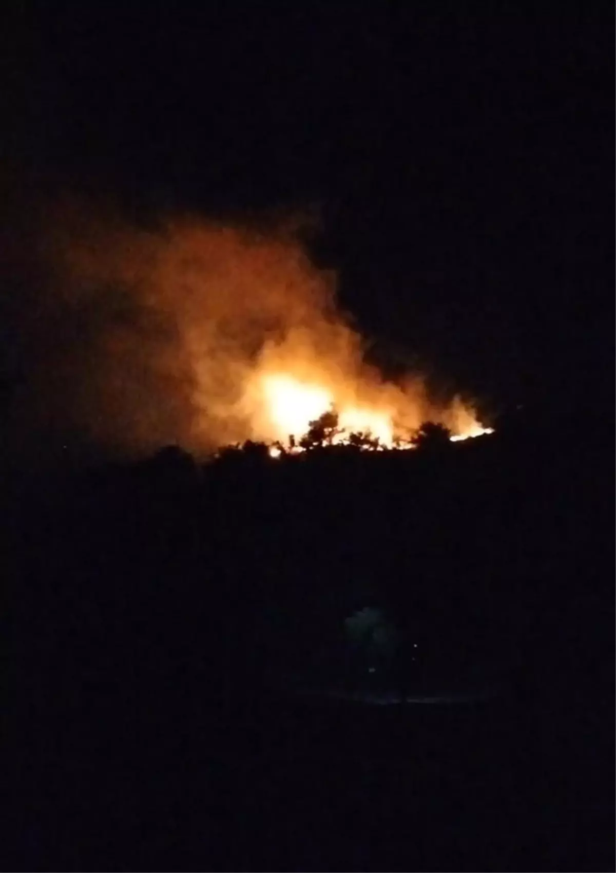 Hatay\'ın Kırıkhan ilçesinde çıkan orman yangını söndürüldü