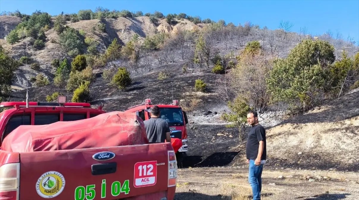 Amasya\'da çıkan orman yangınında 2 hektar alan zarar gördü