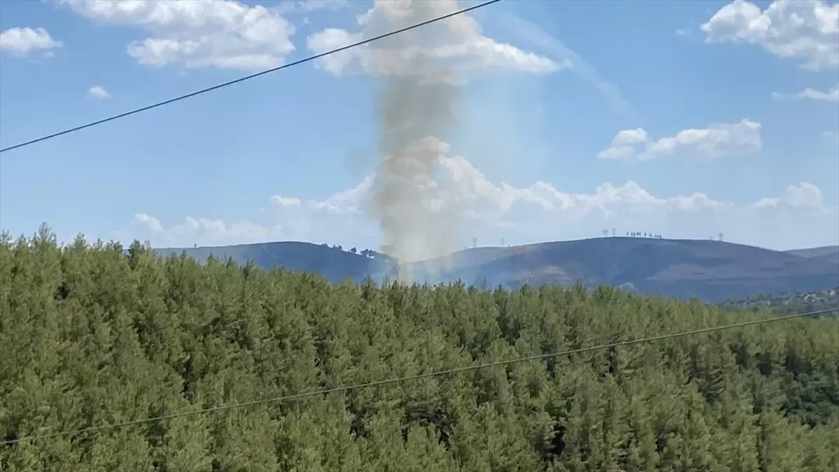 Muğla\'da çıkan orman yangını havadan ve karadan müdahaleyle söndürüldü