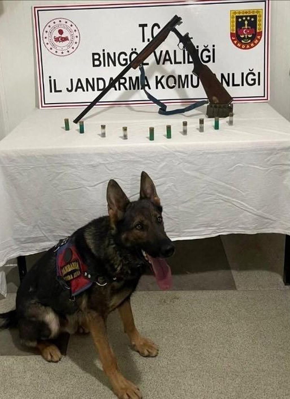 Bingöl\'de Kaleşnikof ve yivsiz av tüfeği ele geçirildi