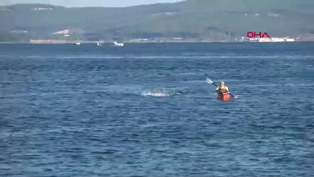 ÇANAKKALE Boğazı Yüzme Yarışması\'nın 37\'ncisi gerçekleştirildi