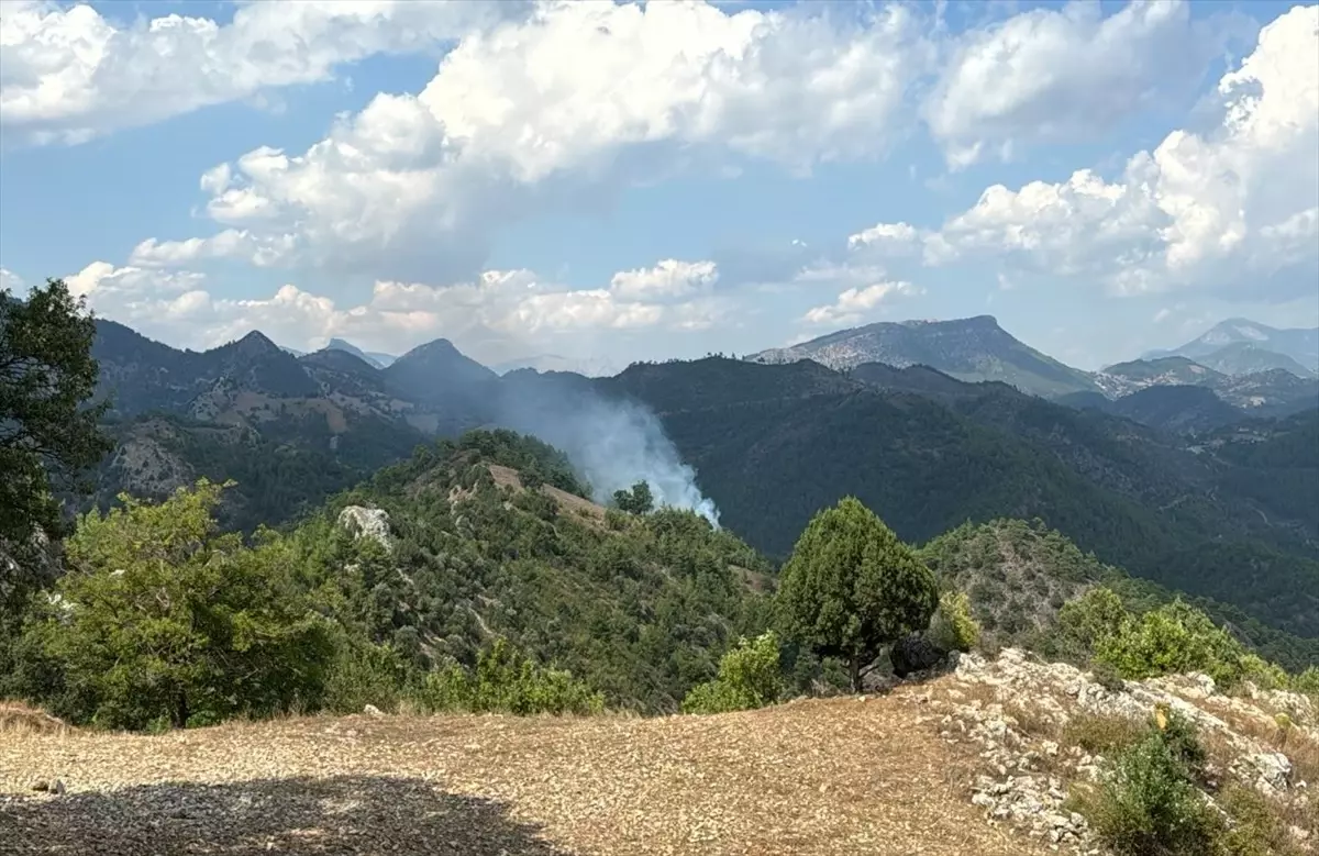 Adana\'nın Feke ilçesinde çıkan orman yangınları söndürüldü