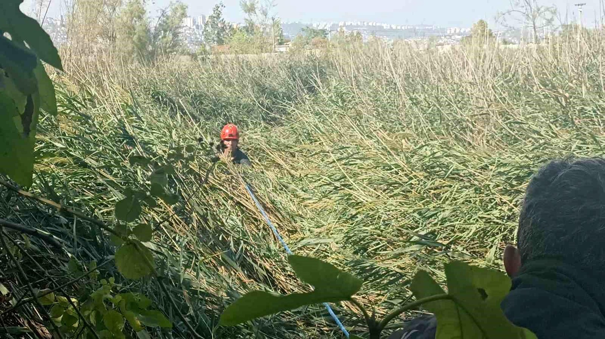 İzmit\'te Sazlık Alanda Mahsur Kalan 2 Arkadaş Kurtarıldı