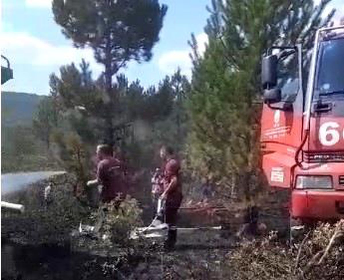 Kütahya\'da çıkan orman yangını kısa sürede söndürüldü