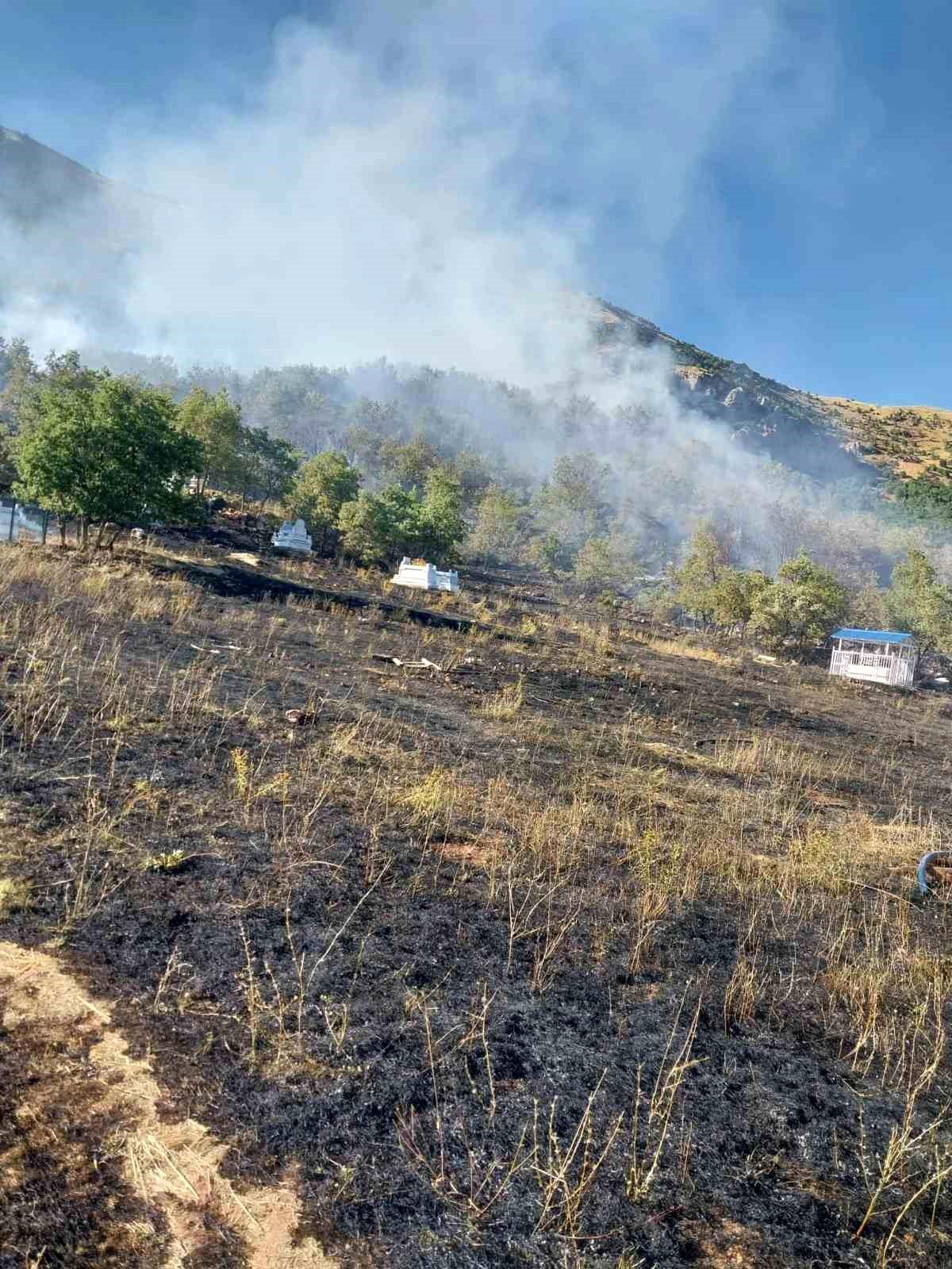 Tunceli\'de mezarlıkta başlayan yangın kontrol altına alındı
