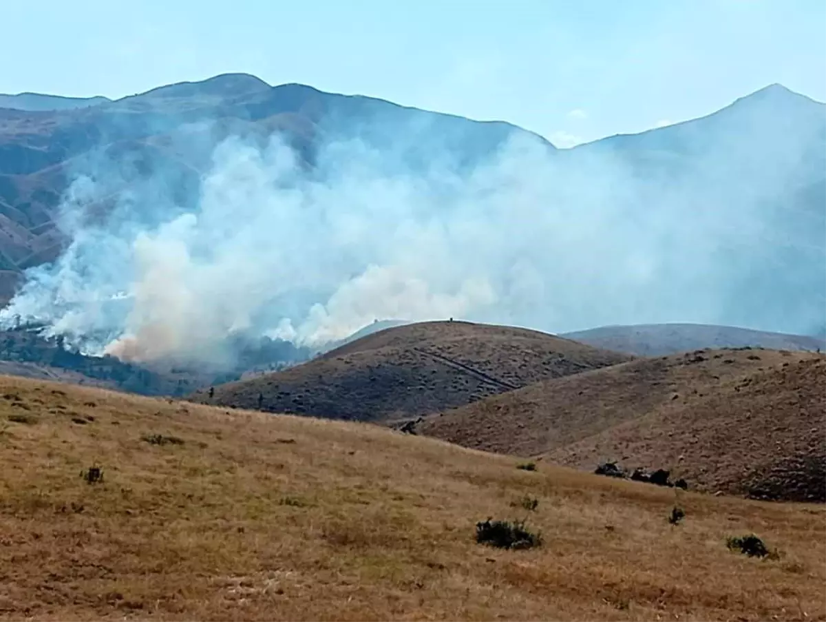 Tunceli\'nin Pülümür ilçesinde çıkan yangına müdahale sürüyor