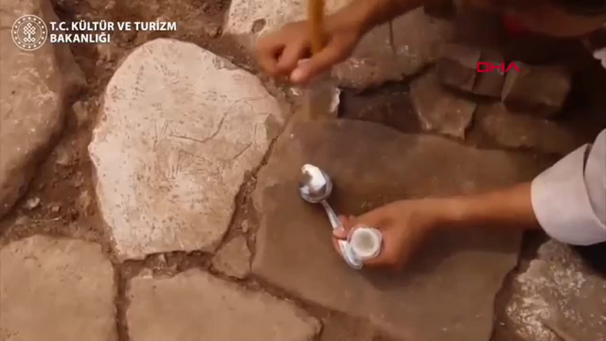 Şanlıurfa\'da Neolitik Çağ\'dan kalma yaban eşeği figürü bulundu