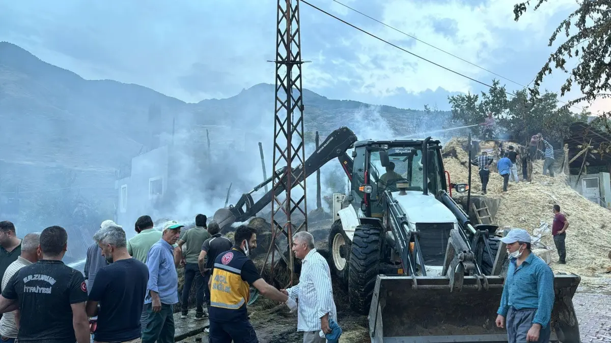 Erzurum\'un Tortum ilçesinde çıkan yangında 2 ev, 1 ahır ve 1 samanlık kül oldu