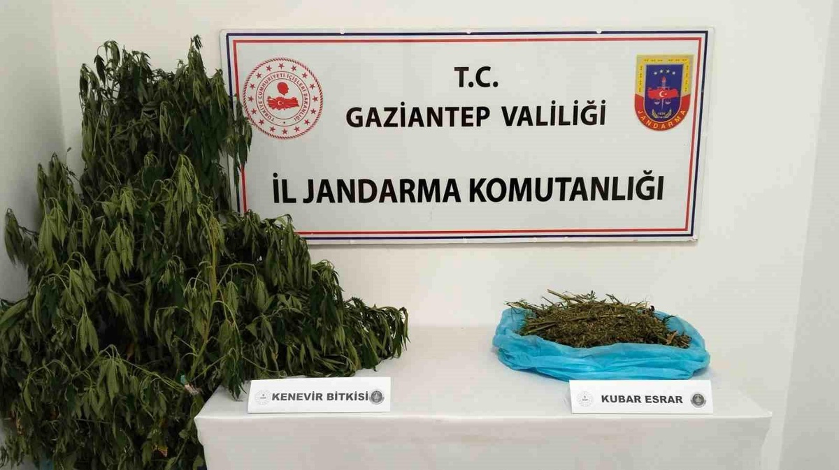 Gaziantep\'te Uyuşturucu Operasyonu: 1 Şüpheli Gözaltına Alındı