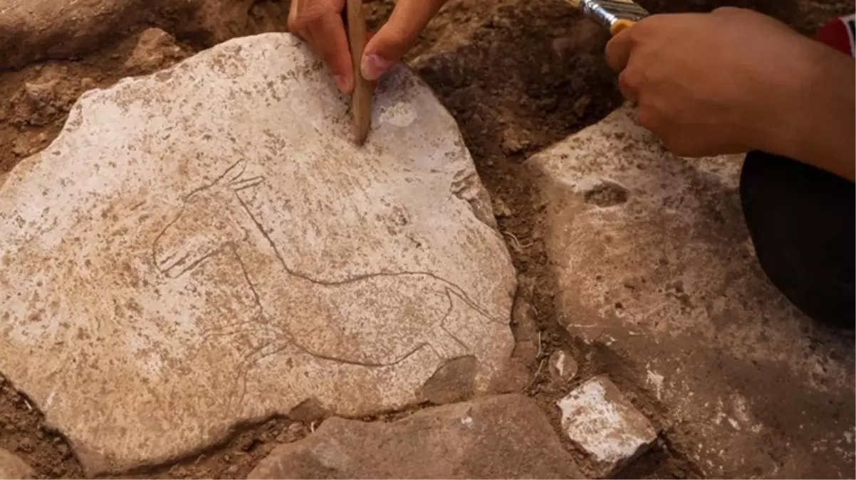 Karahantepe\'de neolitik döneme ışık tutacak keşif