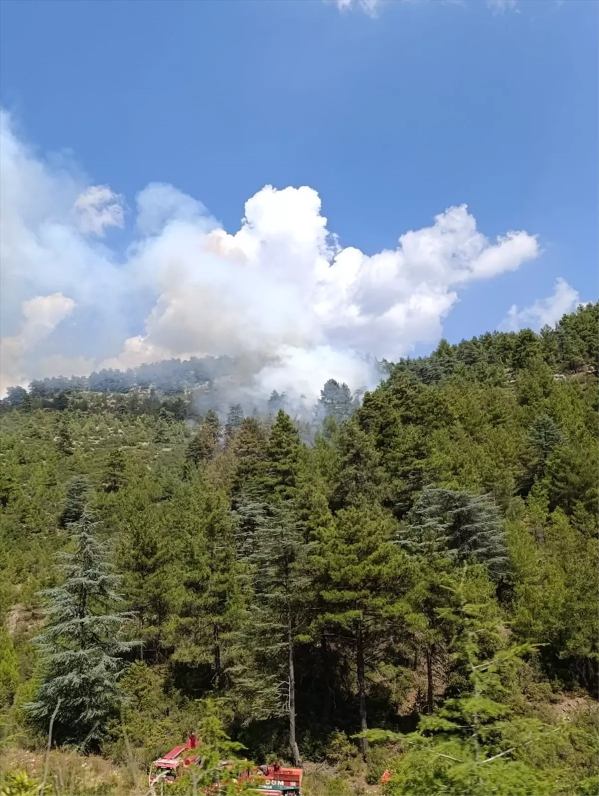 Burdur\'un Bucak ilçesinde çıkan orman yangını söndürüldü