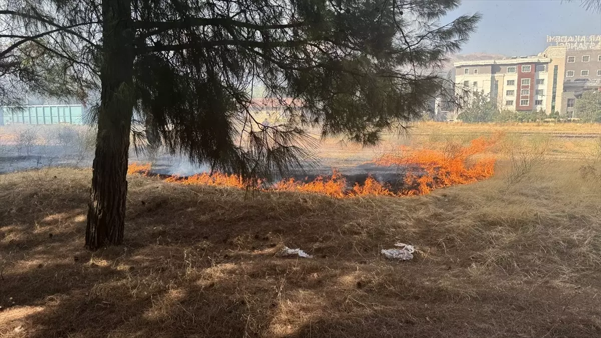 Kahramanmaraş\'ta Orman Yangınına Karadan Müdahale Ediliyor