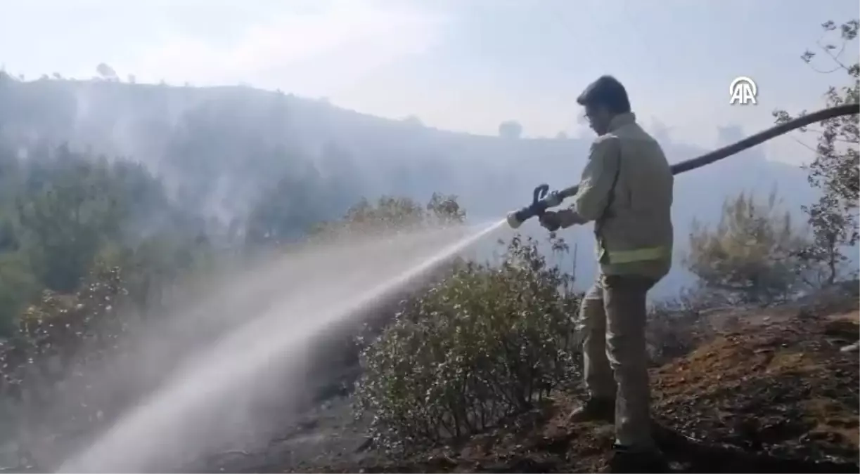 Kahramanmaraş\'ta Orman Yangınına Havadan ve Karadan Müdahale