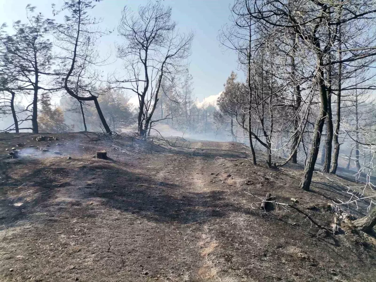 Kahramanmaraş\'ta çıkan orman yangını kontrol altına alındı