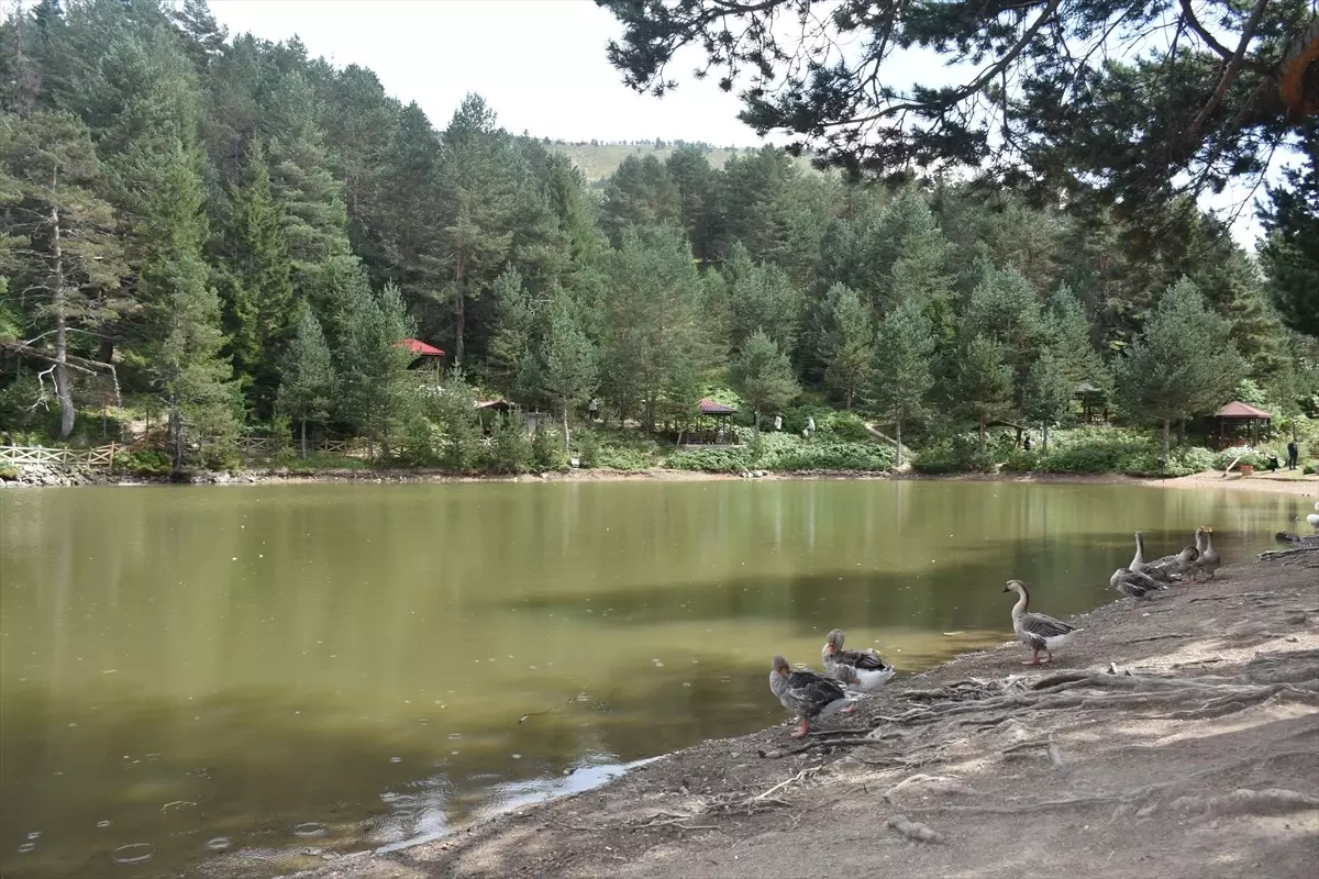 Gümüşhane\'deki Limni Gölü Tabiat Parkı, turistleri ağırlamaya devam ediyor