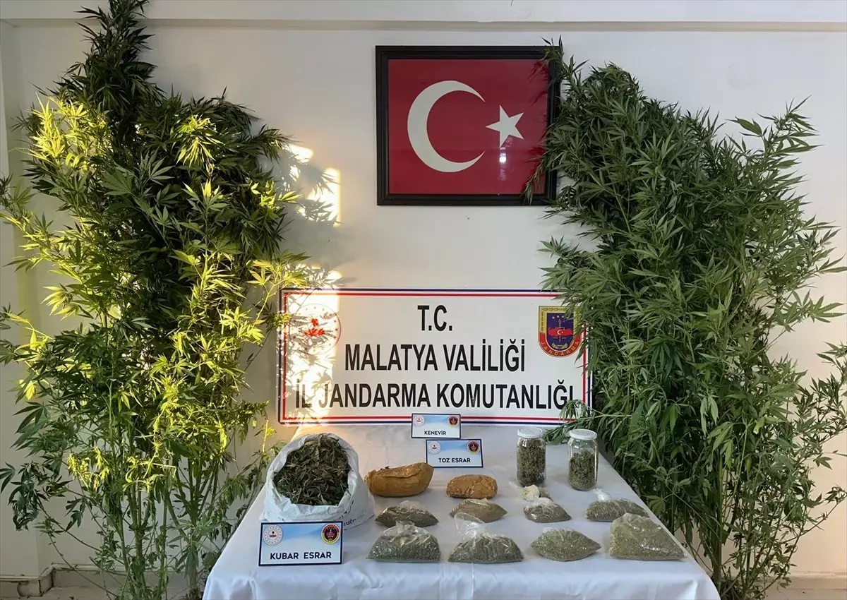 Malatya\'da uyuşturucu operasyonunda 1 şüpheli gözaltına alındı