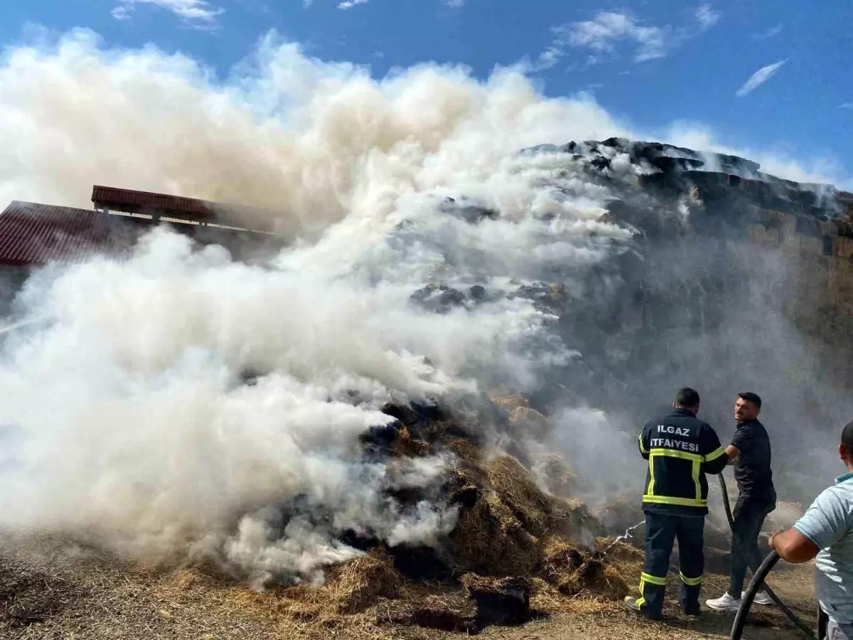 Çankırı\'nın Ilgaz ilçesinde yıldırım düşmesi sonucu yüzlerce saman balyası yanarak küle döndü