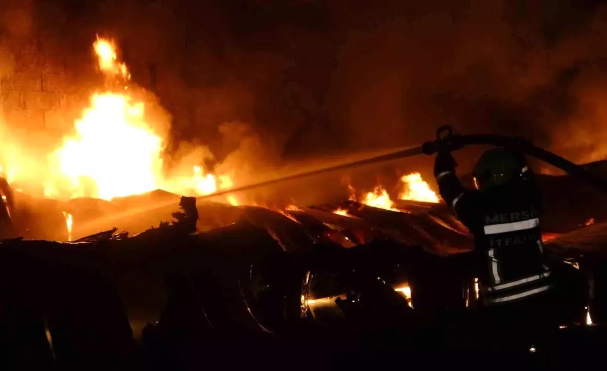 Mersin Erdemli\'de Limon İşleme Tesisi Yangını