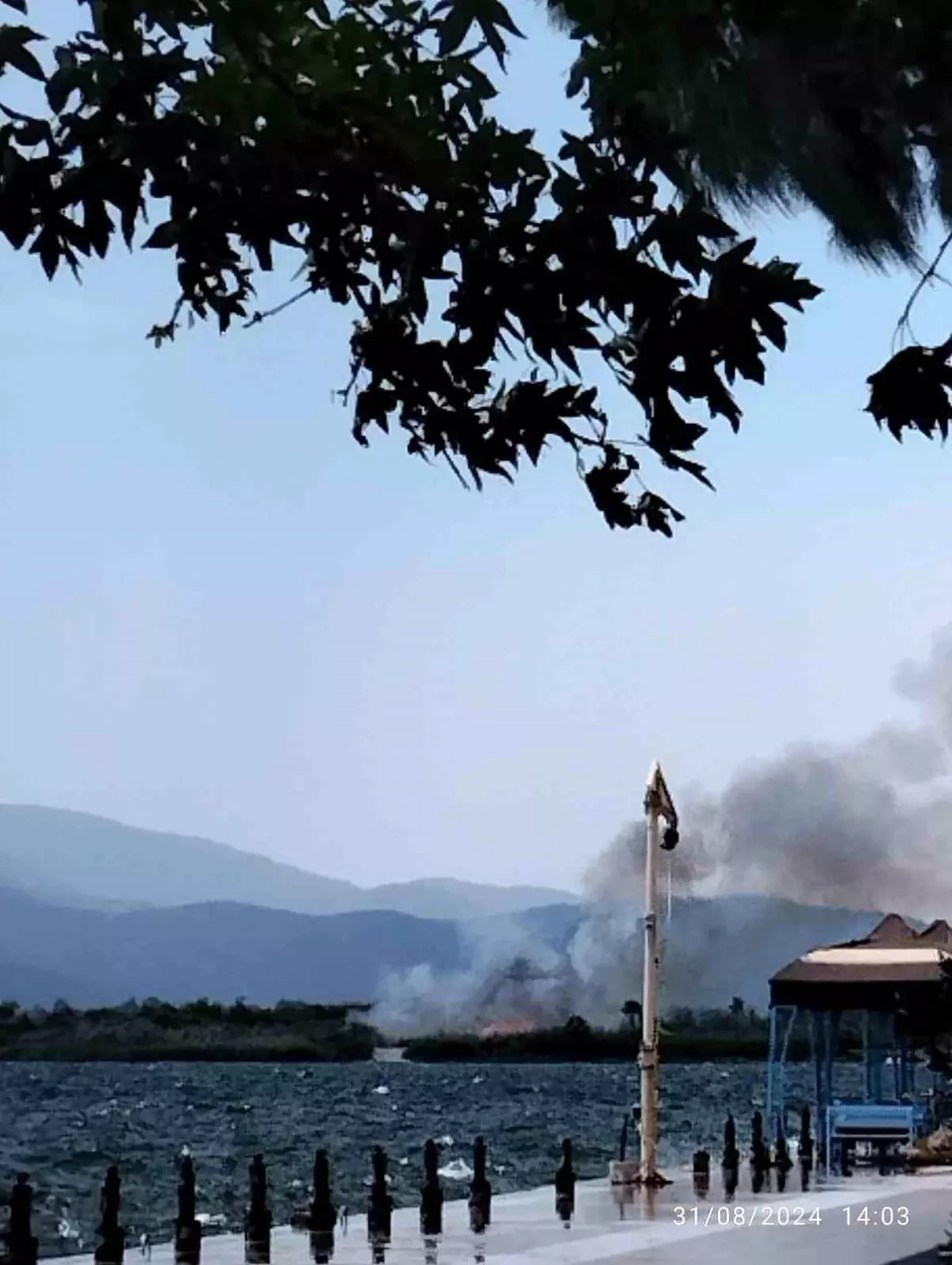 Muğla\'da Dalaman ve Köyceğiz arasındaki sazlık alanda yangın çıktı