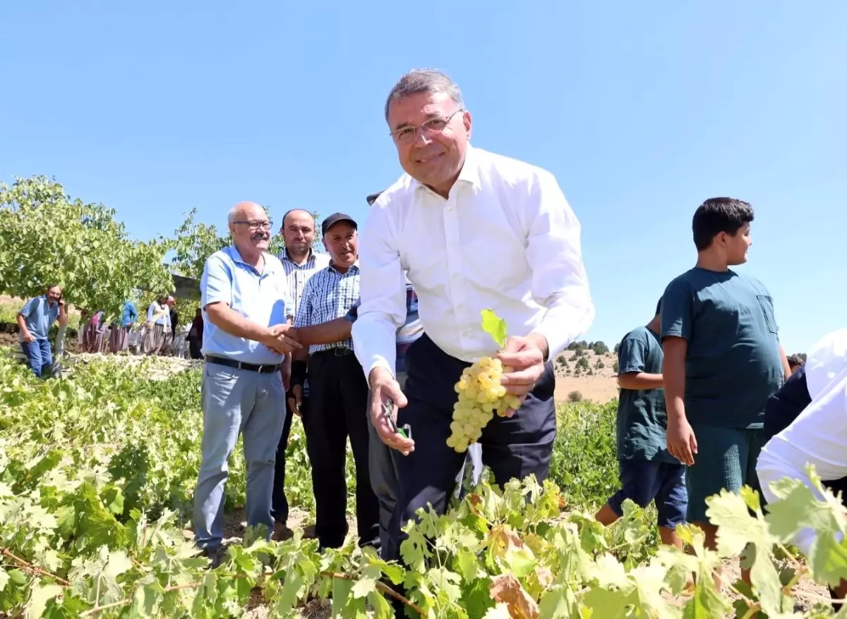 Mersin\'de sofralık üzüm 30 liradan alıcı buldu