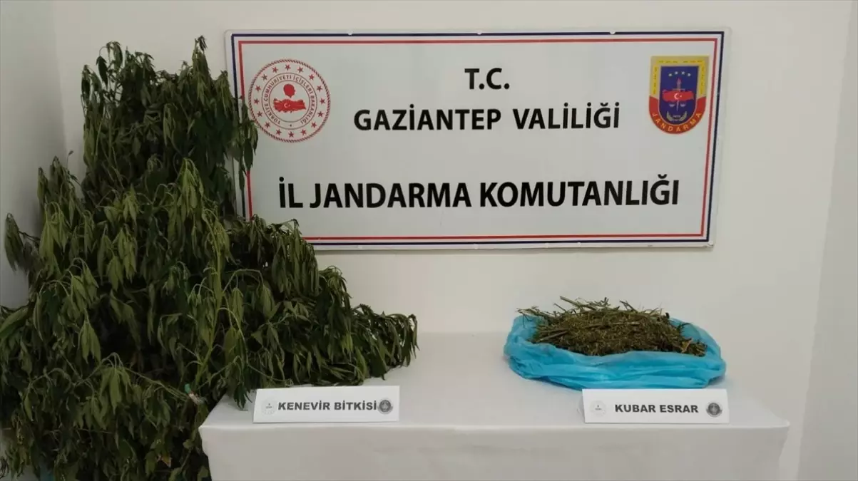 Gaziantep\'te uyuşturucu operasyonunda 1 zanlı yakalandı