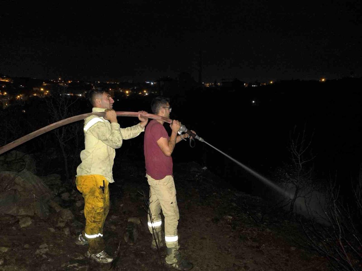 Alanya\'da çıkan yangın kontrol altına alındı