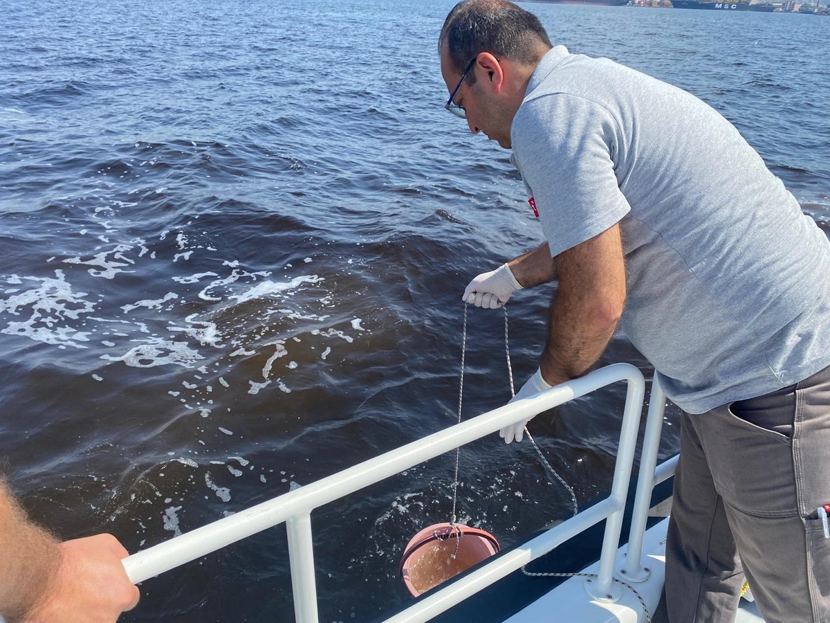 İzmir Körfezi\'ndeki Balık Ölümleri İncelemesi