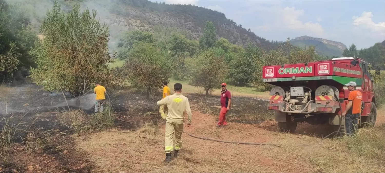 Bilecik\'te Göksu Nehri kenarında çıkan yangın kısa sürede söndürüldü