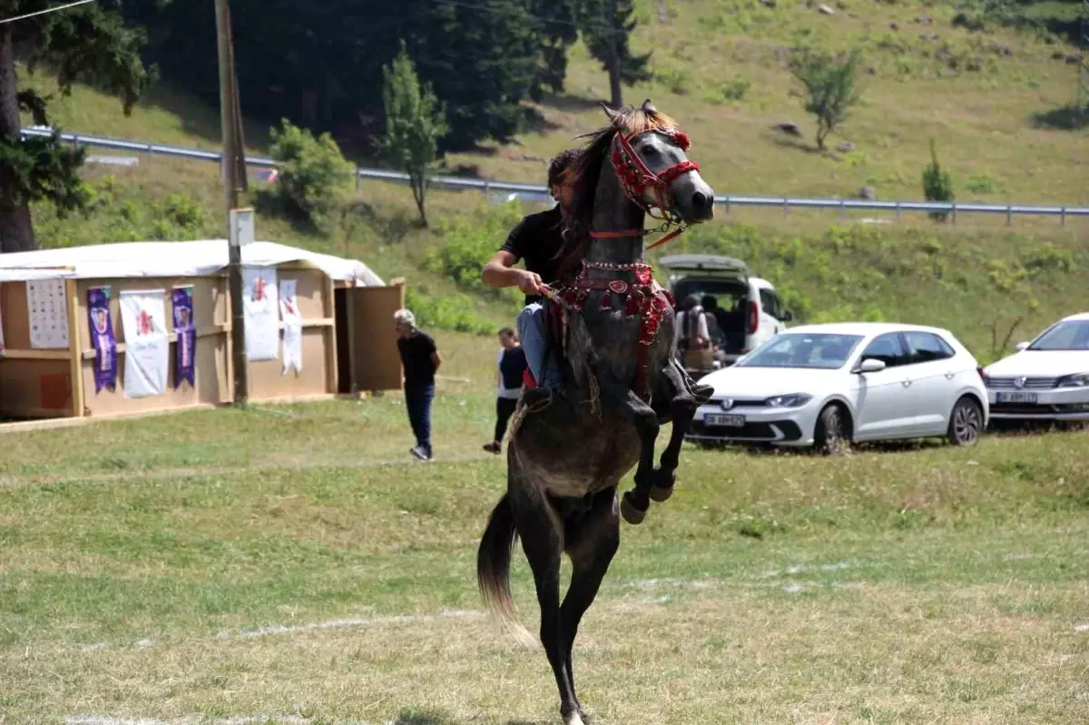 Artvin Şavşat\'ta Gökyüzü Gözlem Etkinliği Yapılamadı