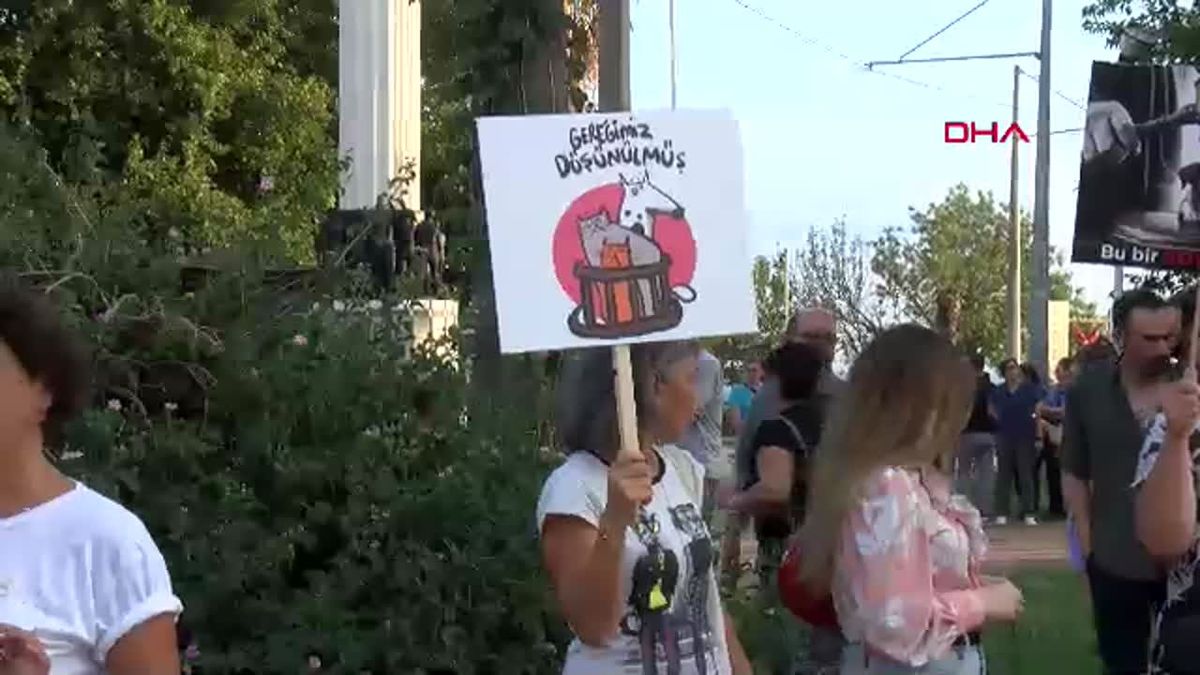Hayvanseverler Sokak Hayvanlarına Yönelik Yasaya Tepki Gösterdi