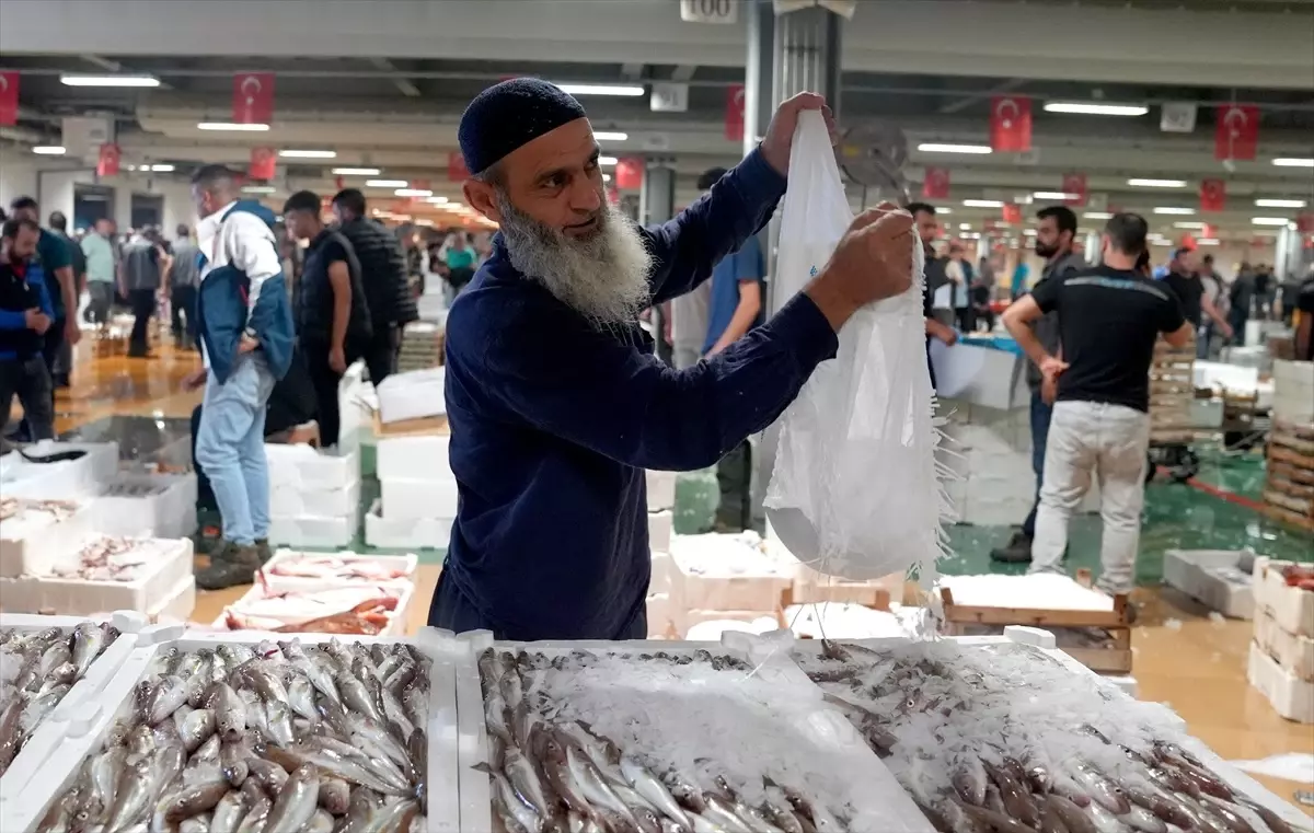 Beylikdüzü Gürpınar Balık Hali\'nde Palamut Bolluğu