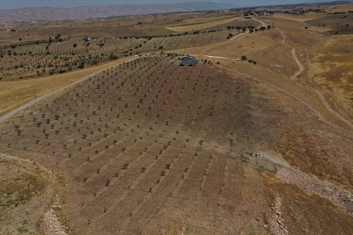 Batman’da Çiftçiler Güneş Enerjisi ile Sulama Sistemlerine Geçerek Tasarruf Sağlıyor