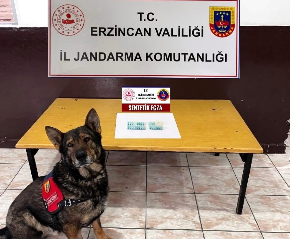 Erzincan Jandarması Ağustos 2024\'te 295 Olayı Aydınlattı