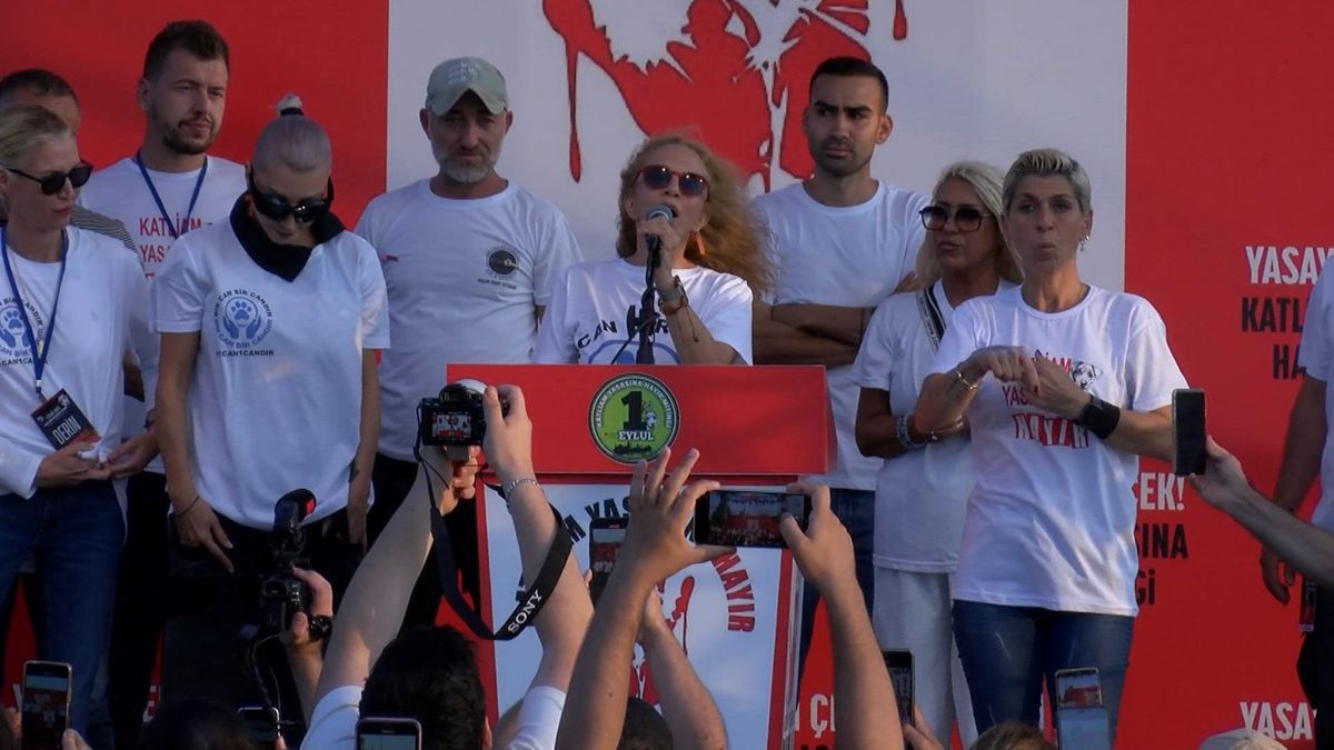Hayvan Hakları Yasası Yenikapı\'da Protesto Edildi