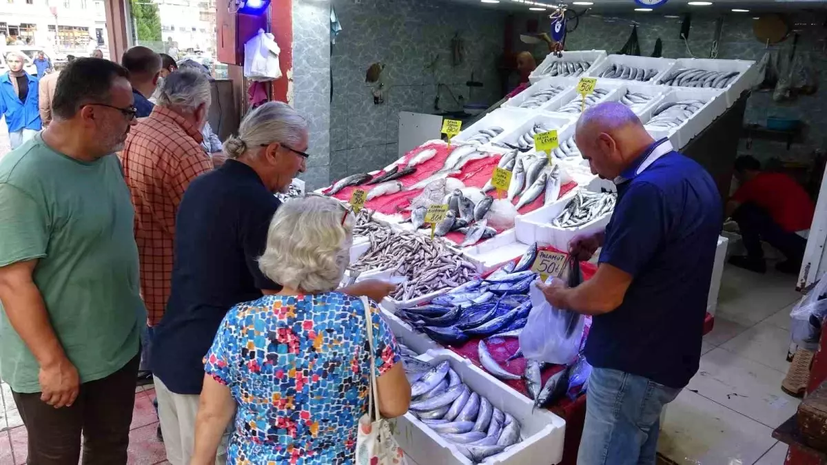 Samsun\'da Palamut Fiyatları Düşüşe Geçti