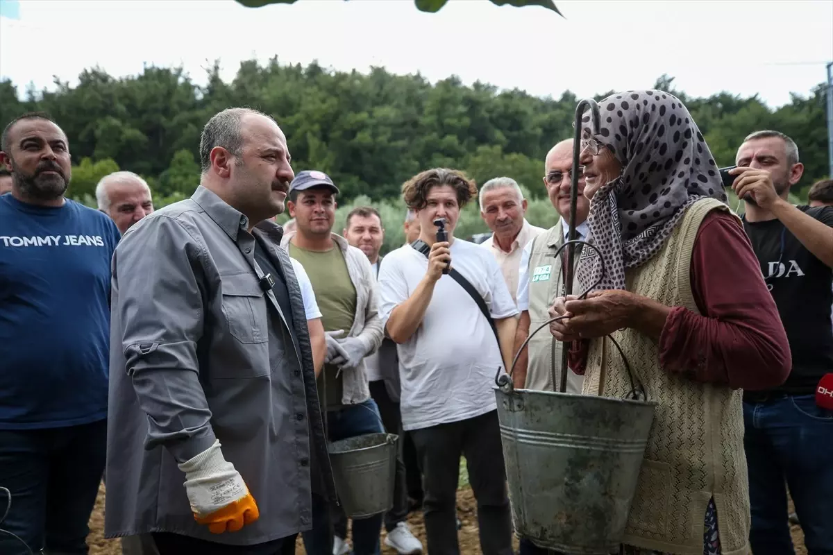 Varank: Tarımsal Desteklerin Kaldırıldığı İddiaları Gerçeği Yansıtmıyor