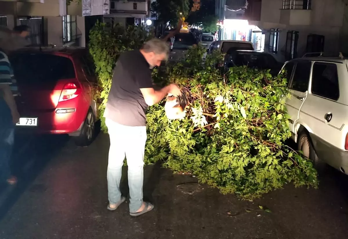 Şehzadeler ilçesinde sağanak yağış sonrası devrilen ağaçlar kaldırıldı