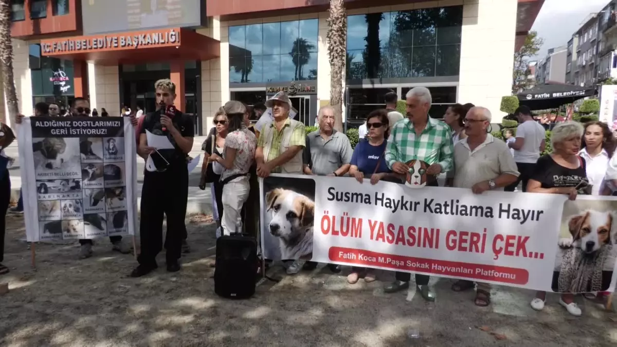 Fatih\'te Hayvanseverler Sokak Köpeklerinin Toplanmasına Karşı Protesto Düzenledi