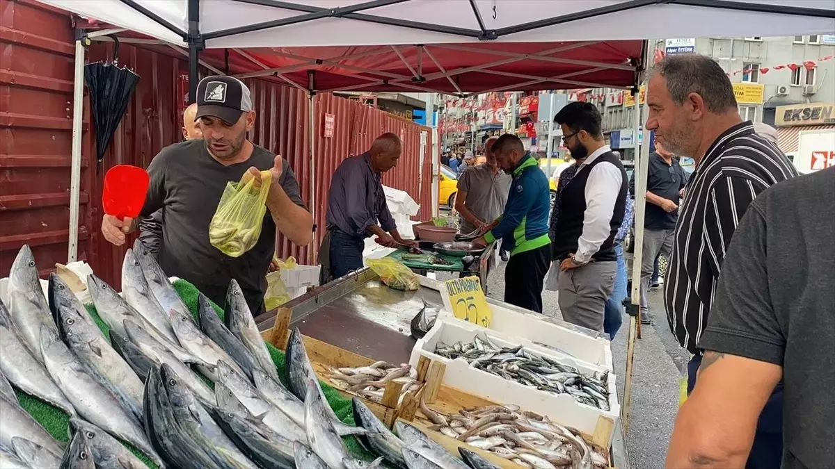 Av yasağı sona erdi, Zonguldak\'ta balık satışları başladı